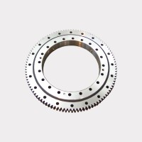 Slewing Bearing