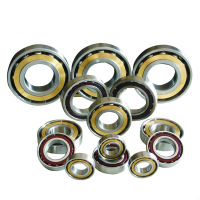 Double Row Angular Contact Ball Bearing