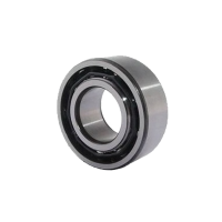 Double Row Deep Groove Ball Bearing